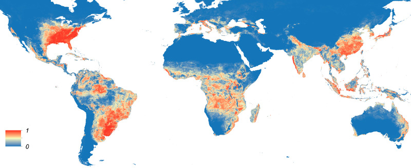 Predicted distribution of Aedes aegypti globally
